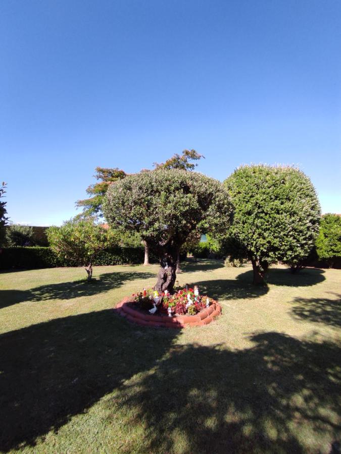 Pension Casa Carmela Playa de la Lanzada Ngoại thất bức ảnh